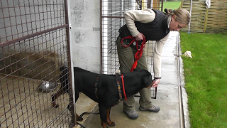 signal-2026-01-10-132335_003